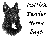 Scottie Home Page USA