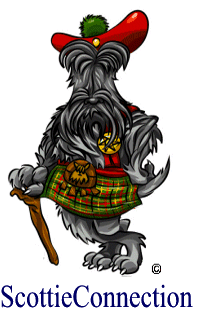 Scottieconnection
