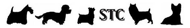 Schotsche Terrier Club Holland/Scottish Terrier Club NL