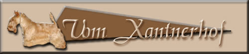 Kennel vom Xantnerhof