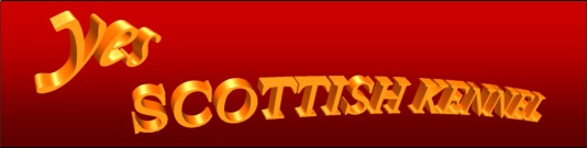 Yes Scotties - Servia/Montenegro